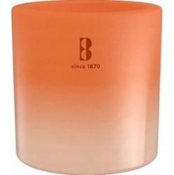 Bolsius Summer Nights Kremowa świeca outdoorowa w szkle z drewnianym knotem 80/90