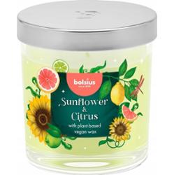 Bolsius Floral Fusion Słonecznik i Cytrusy świeca zapachowa 80/72 w szkle z wieczkiem