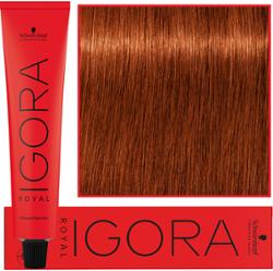 Schwarzkopf Professional Igora Royal - trwała farba do włosów o innowacyjnej formule, 60ml 6-77 | Ciemny Blond Miedziany Ekstra