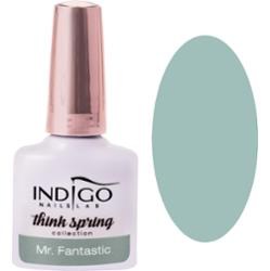 Indigo Gel Polish lakier hybrydowy, kolory 7ml Mr Fantastic