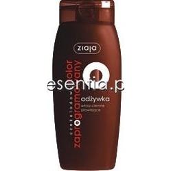 Ziaja Zaprogramowana Pielęgnacja Włosów Czekoladowy kolor zaprogramowany - Odżywka włosy ciemne, płowiejące 150 ml