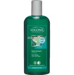 LOGONA Haare Szampon z miłorzębem japońskim do włosów suchych i zniszczonych 250 ml