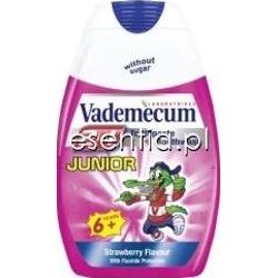 Vademecum  Pasta do zębów o smaku truskawkowym 2w1 Junior 75 ml