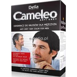 Delia  Cameleo Odsiwiacz do włosów dla mężczyzn 