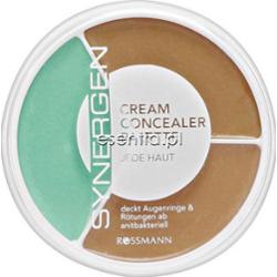 Synergen  Paletka korektorów 15 g