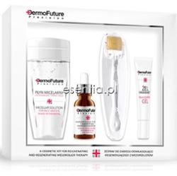 Dermo Future  Zestaw do zabiegu odmładzająco-regenerującego z mezorollerem 
