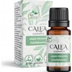 Olejek eteryczny EUKALIPTUS CALEA