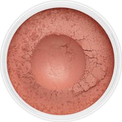 Róż Pumpkin Spice No.209