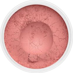 Róż Cute Watermelon No.208