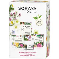 Soraya Zestaw Soraya Plante Nawilżający