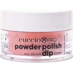 5591 DIP SYSTEM PUDER Salmon With Silver Mica 14 g