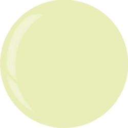 3959 Dip System Puder Tytanowy Pistachio Sorbet 14 g