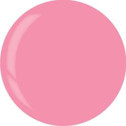 3899 Dip System Puder Punch Sorbet 14 g