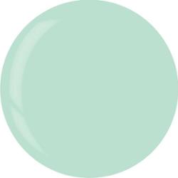 3949 Dip System Puder Mint Sorbet 14 G