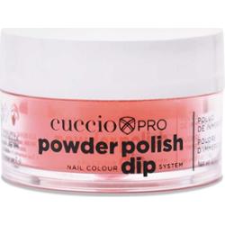 5587 DIP SYSTEM PUDER Pastel Peach 14 g