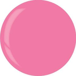 3909 Dip System Puder Dragonfruit Sorbet 14 G