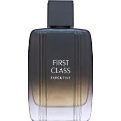 Aigner First Class Executive woda toaletowa dla mężczyzn 100 ml
