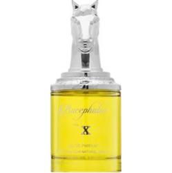 Armaf Bucephalus No. X woda perfumowana dla mężczyzn 100 ml