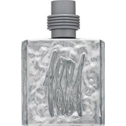 Cerruti 1881 Silver woda toaletowa dla mężczyzn 100 ml