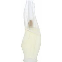 DKNY Cashmere Mist woda toaletowa dla kobiet 100 ml