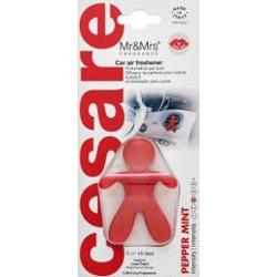 Mr&Mrs Fragrance Cesare Car Air Freshener Pepper Mint