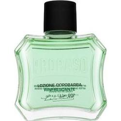 PRORASO Green orzeźwiający lotion po goleniu 100 ml