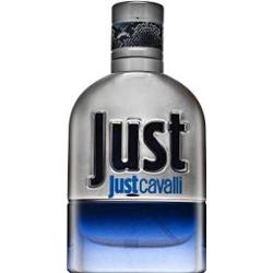 Roberto Cavalli Just Cavalli Him 2013 woda toaletowa dla mężczyzn 30 ml