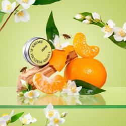 Botaniczne perfumy w kremie YASMIN 15 ml