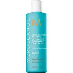 MoroccanoilMaster Scalp Balancing Shampoo, szampon przywracający równowagę skórze głowy, 250 ml