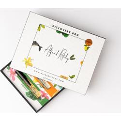 Alfred Ritchy Discovery Set 5 X 4 ml