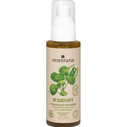 Orientana ajurwedyjska terapia do włosów