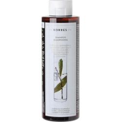 Szampon przeciwłupieżowy z wyciągiem z liścia laurowego i echinacei