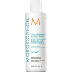 Moroccanoil Master Scalp Balancing Conditioner, odżywka przywracająca równowagę skórze głowy, 250 ml