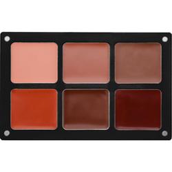 Danessa Myricks Beauty Waterproof Palette in Essentials | Wielozadaniowa paleta do makijażu