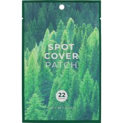 SKIN1004 Madagascar Centella Tea-Trica Spot Cover Patch plastry dla skóry problematycznej przeciw trądzikowi 22 szt.