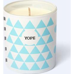 Świeca sojowa Zimowe bakalie