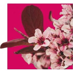 Acorelle Woda perfumowana BIO HARMONY 15ml