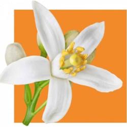 Acorelle Woda perfumowana BIO OPTIMISM 15ml