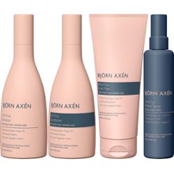 Björn Axén Anti-Frizz Bundle Shampoo 250 ml & Conditioner 250 ml & Mas