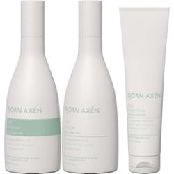 Björn Axén Scalp Bundle Shampoo 250 ml & Conditioner 250 ml & Detox Sc
