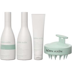 Björn Axén Scalp Bundle Shampoo 250 ml & Conditioner 250 ml & Detox Sc