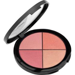 Aden Blusher Palette