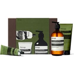 Aesop Party in the greenhouse