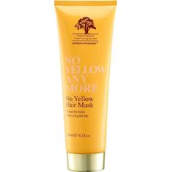 Arganmidas No Yellow Hair Mask  300 ml