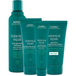 AVEDA Botanical Repair Set