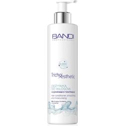 Bandi Hair conditioner smoothing and moisturising 230 ml