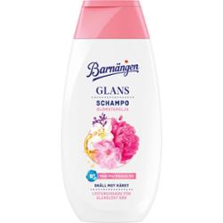 Barnängen Glans Schampo 250 ml