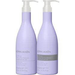 Björn Axén Cool Blonde Coloring Silver