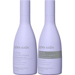 Björn Axén Cool Blonde Coloring Silver Standard