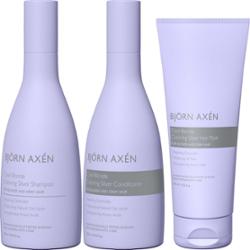 Björn Axén Cool Blonde Coloring Silver Trio